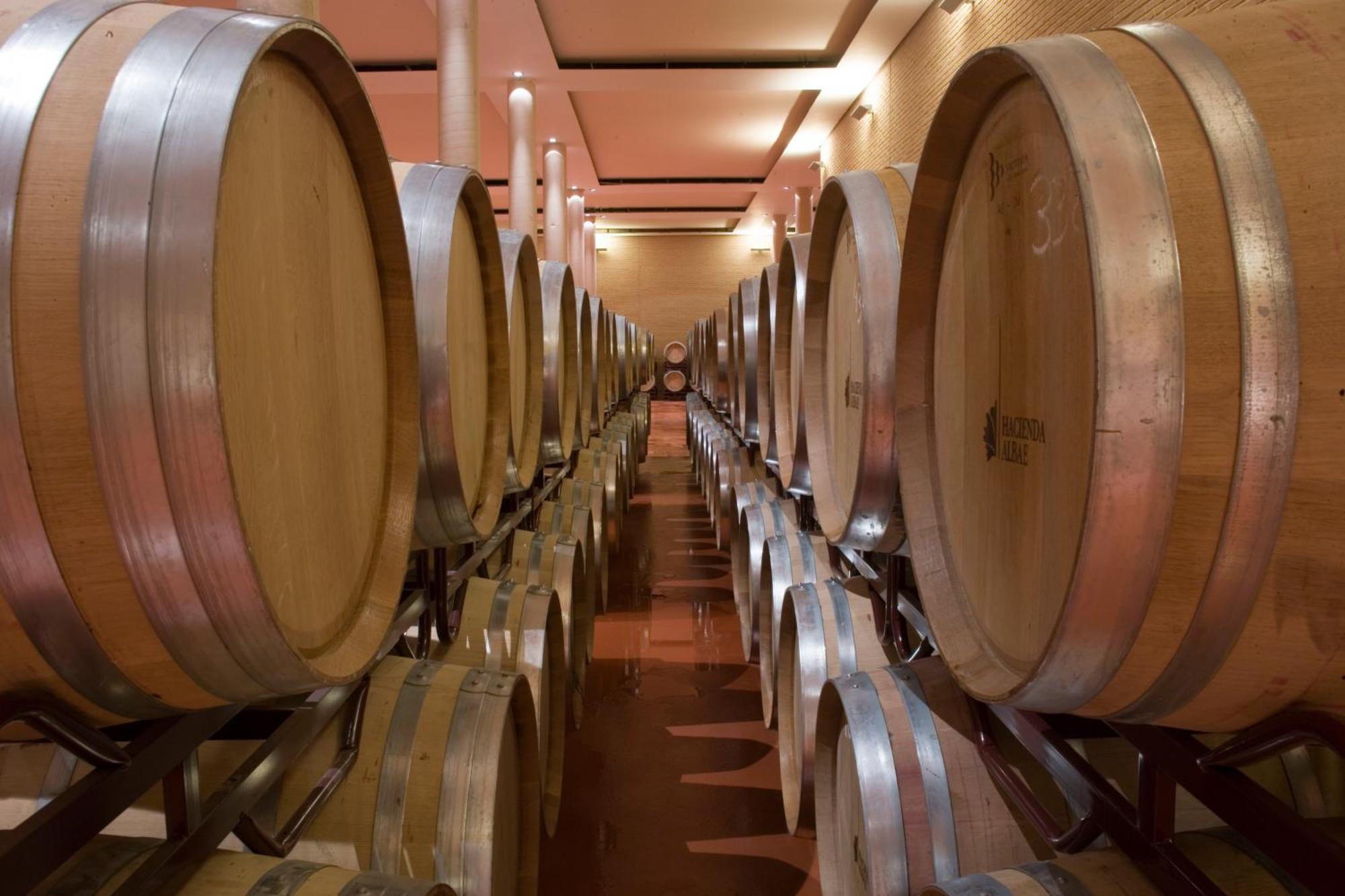 Penzion Bodegas Hacienda Albae Argamasilla de Alba Exteriér fotografie